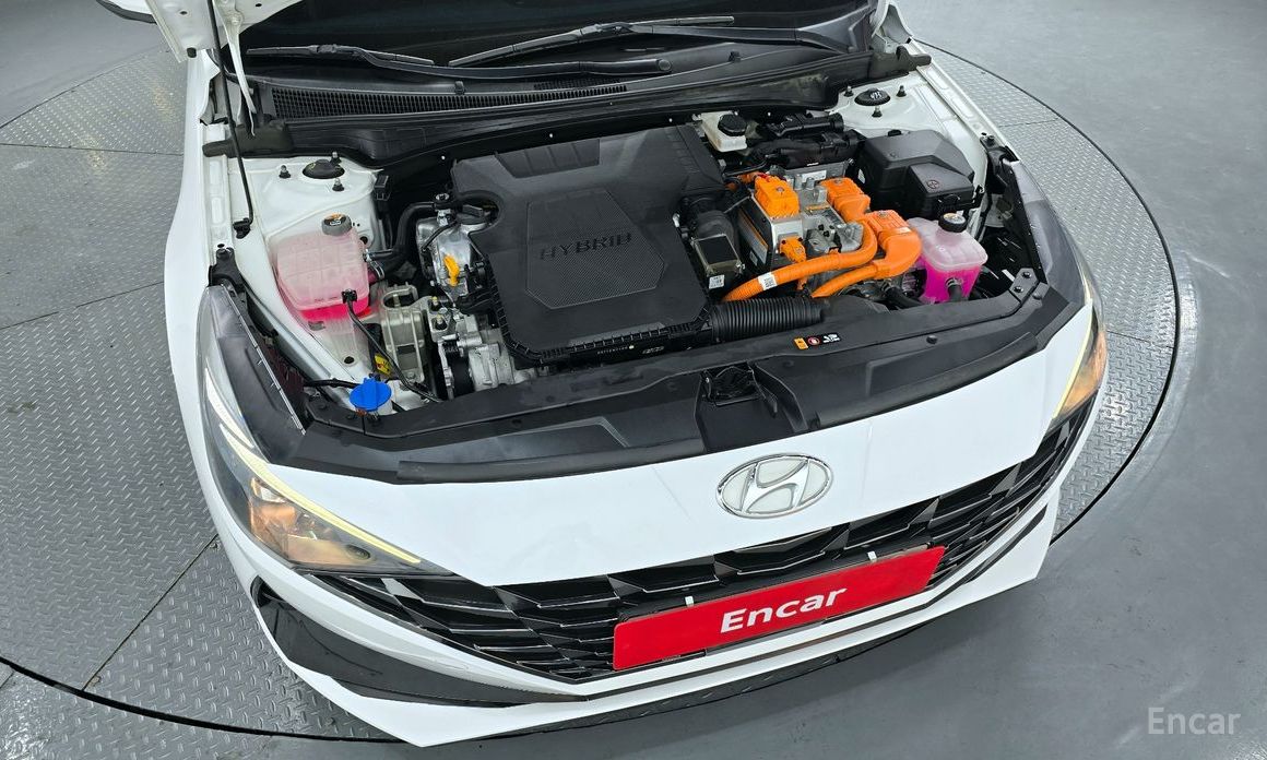  Hyundai AVANTE