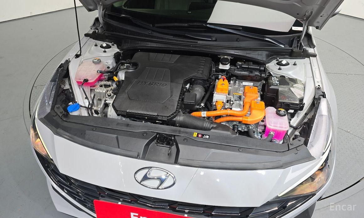  Hyundai AVANTE