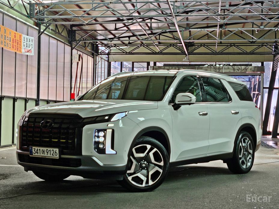  Hyundai Palisade