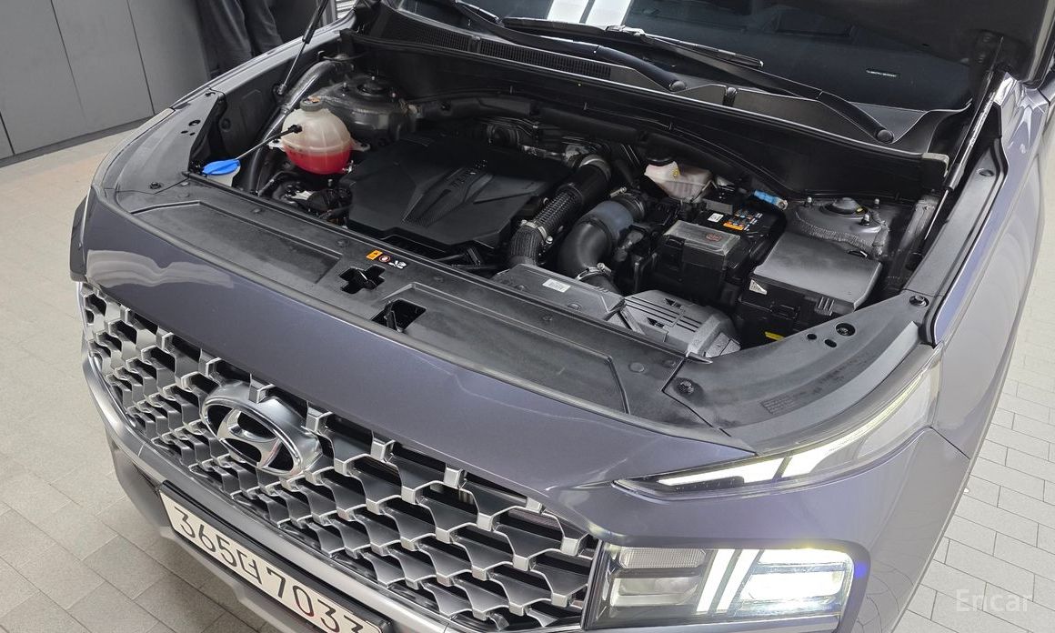  Hyundai Santafe