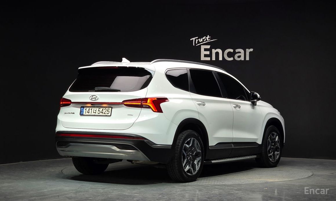  Hyundai Santafe