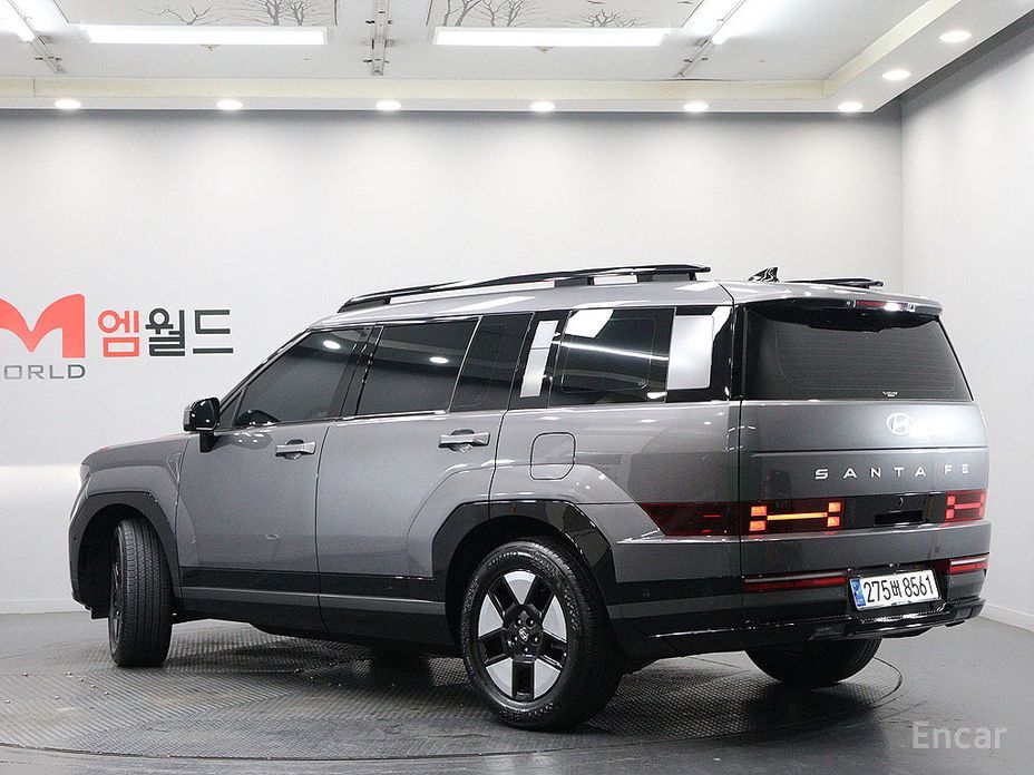  Hyundai Santafe