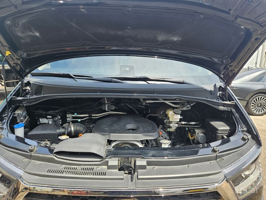  Hyundai Solati