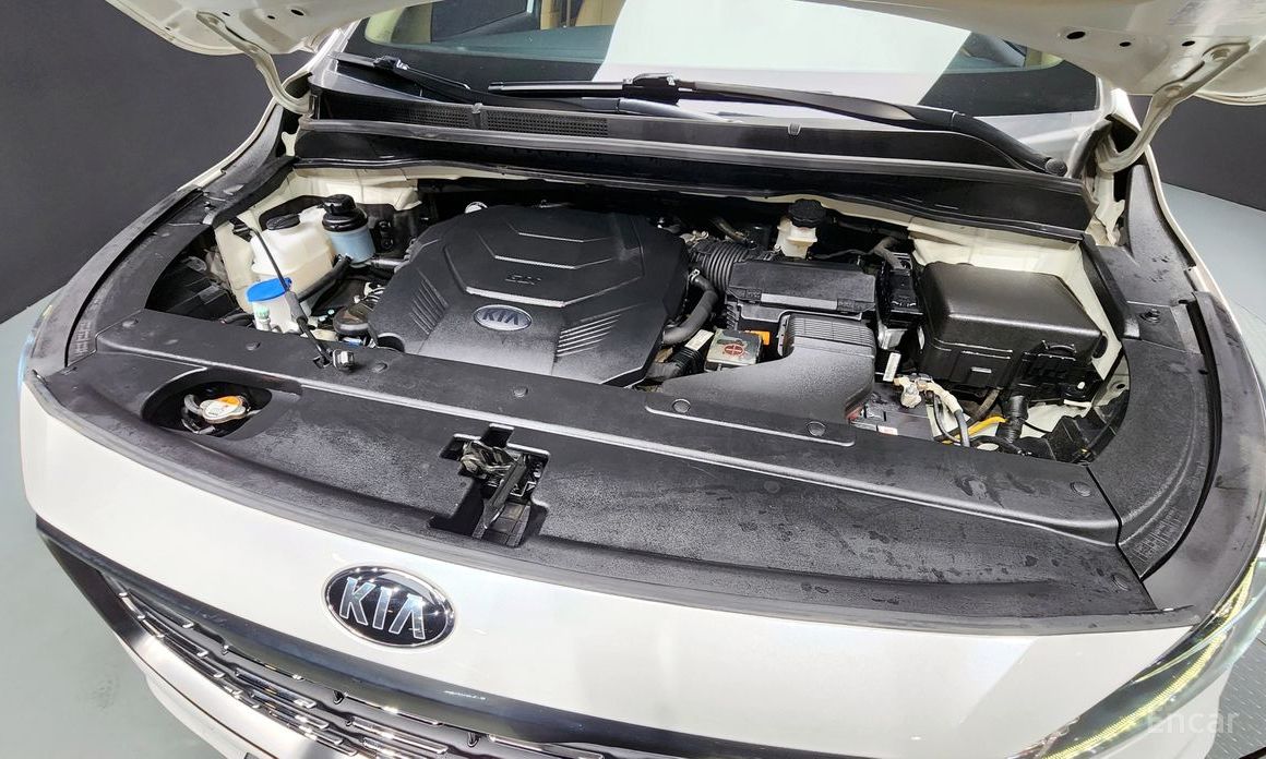  Kia Canival