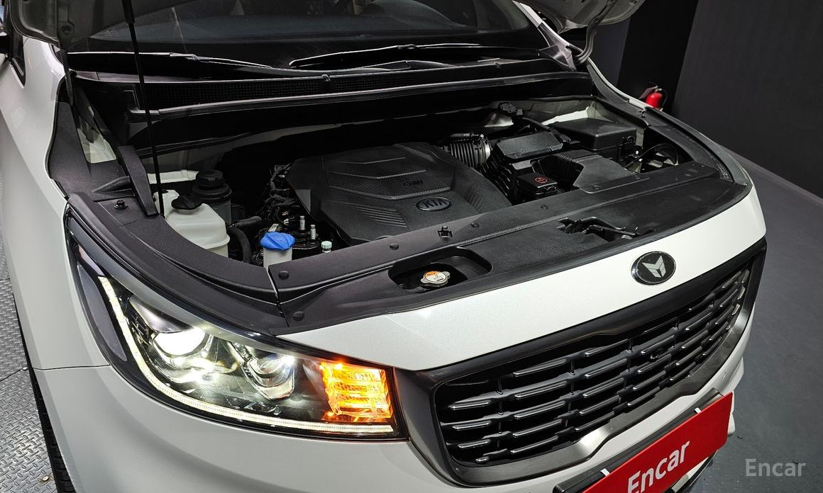  Kia Canival