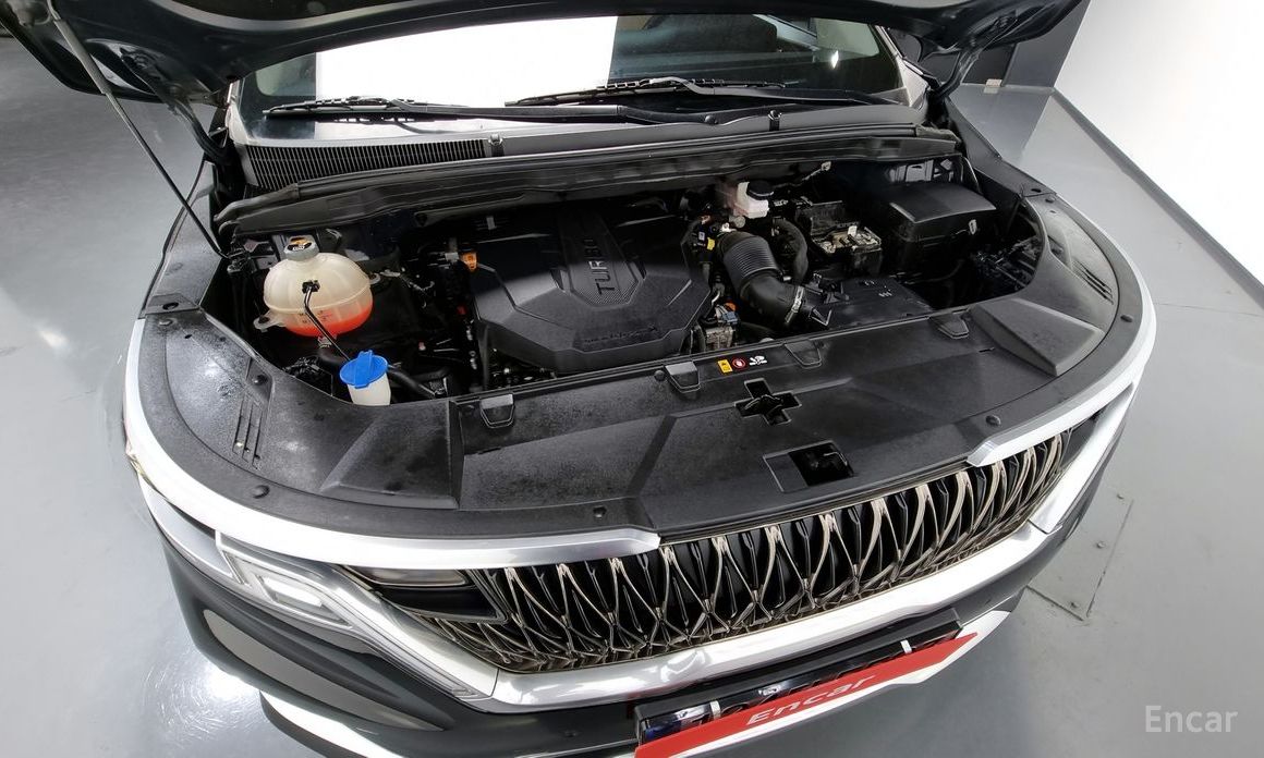  Kia Canival