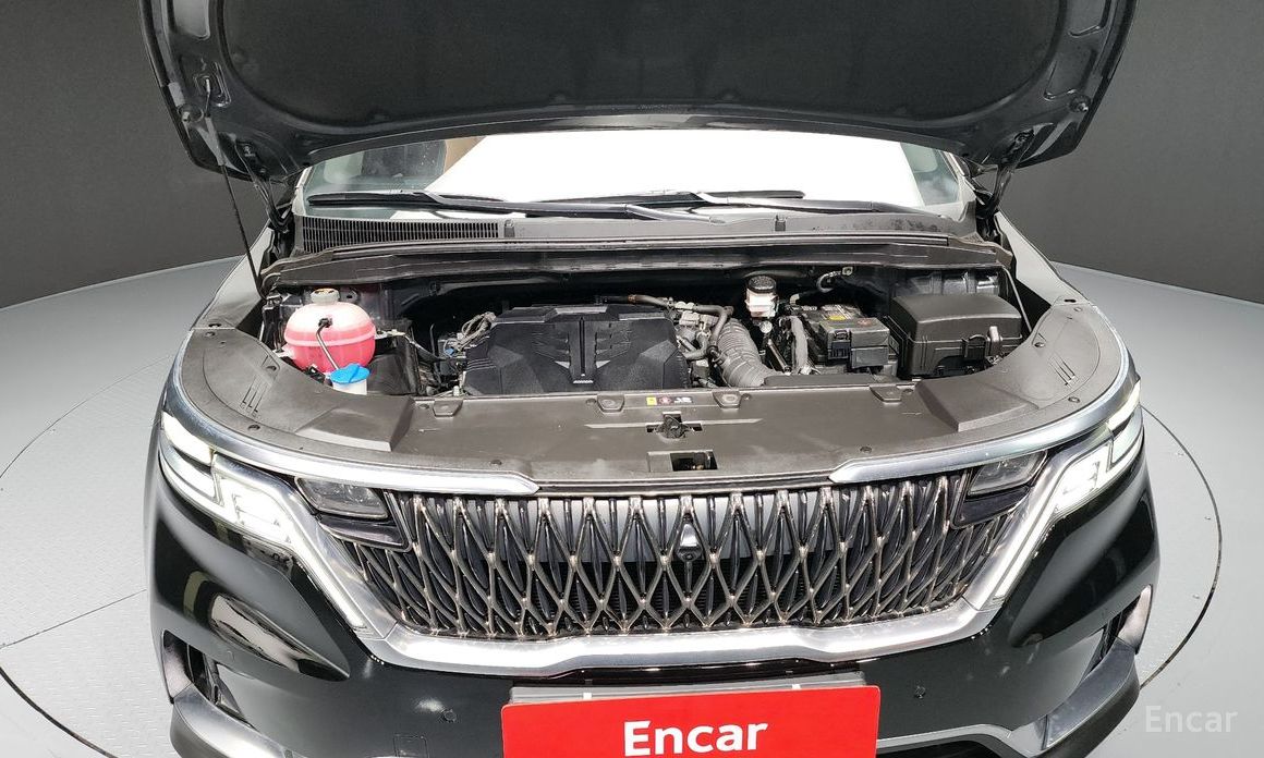  Kia Canival