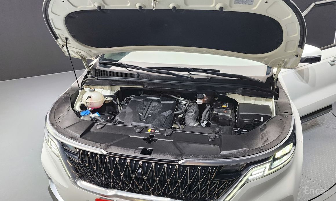  Kia Canival
