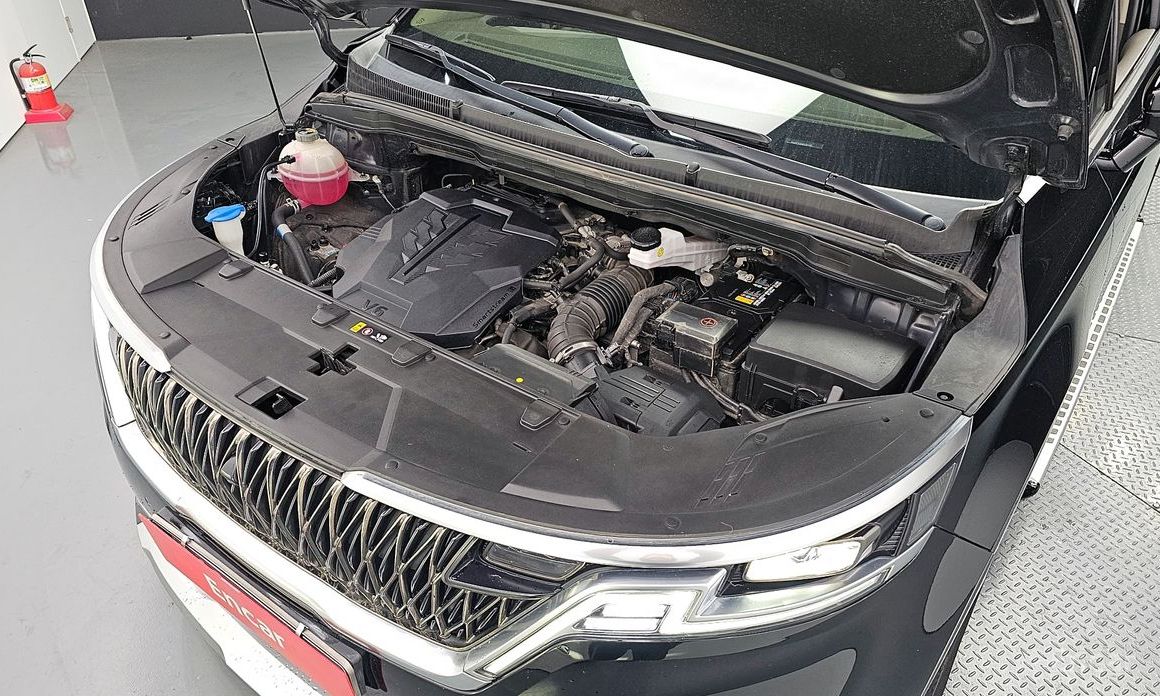  Kia Canival