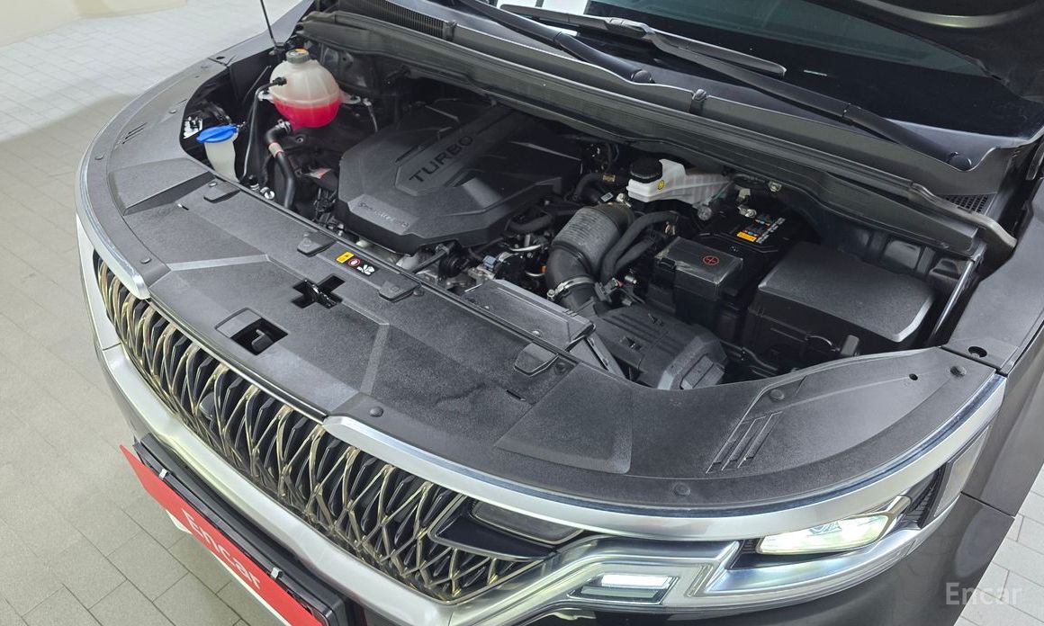  Kia Canival