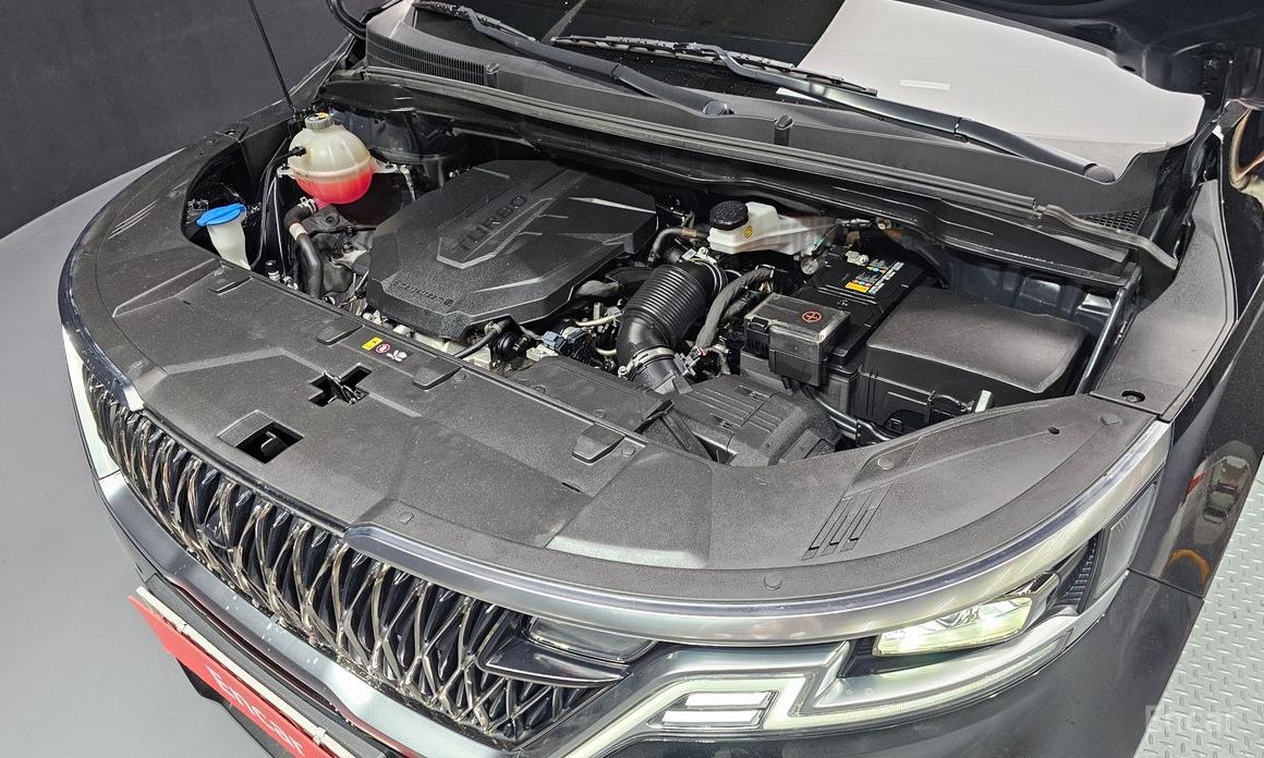  Kia Canival