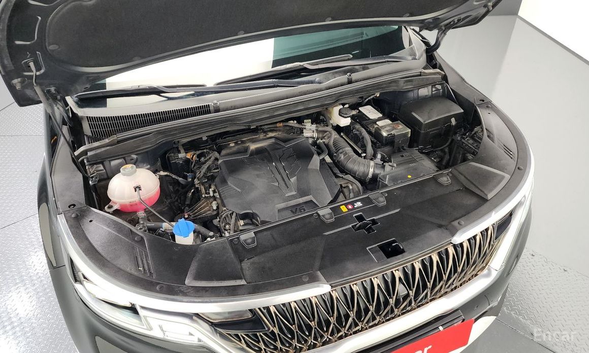  Kia Canival
