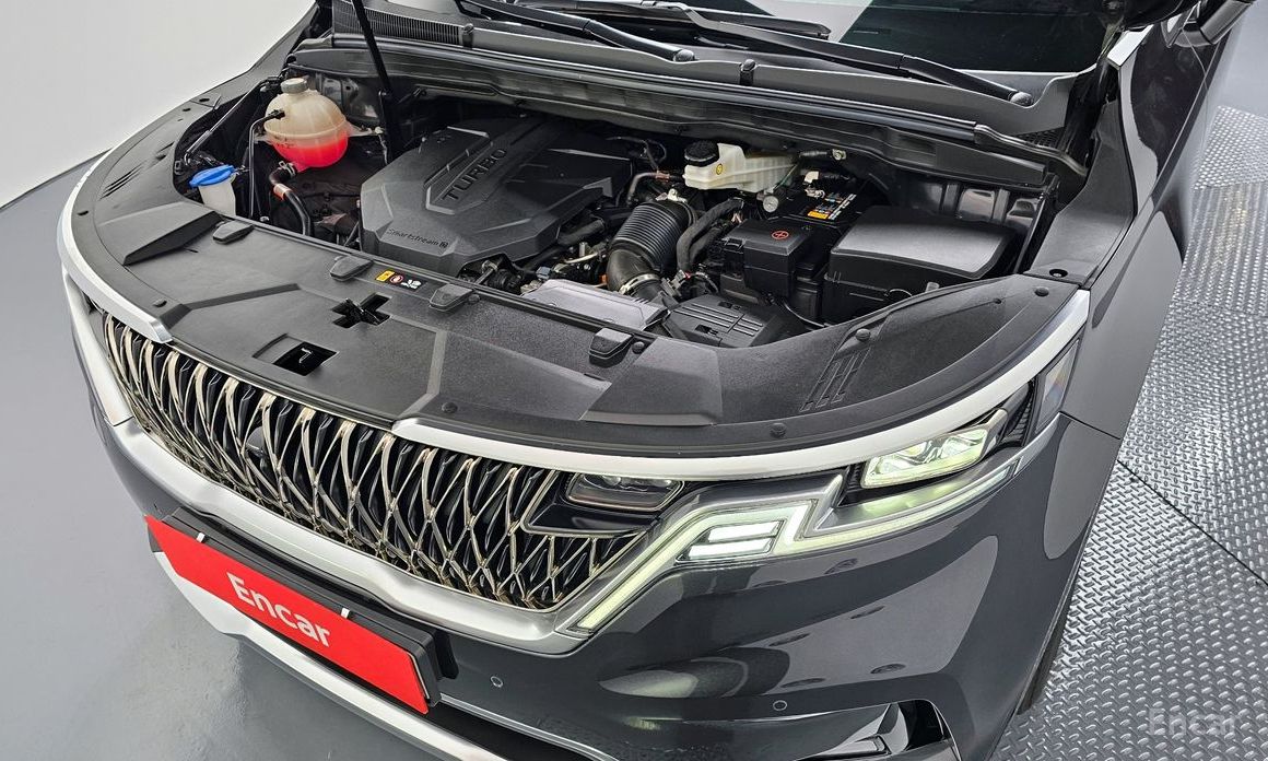  Kia Canival