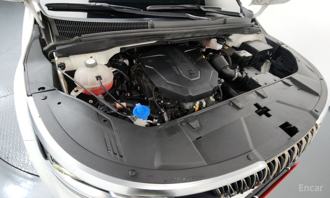  Kia Canival