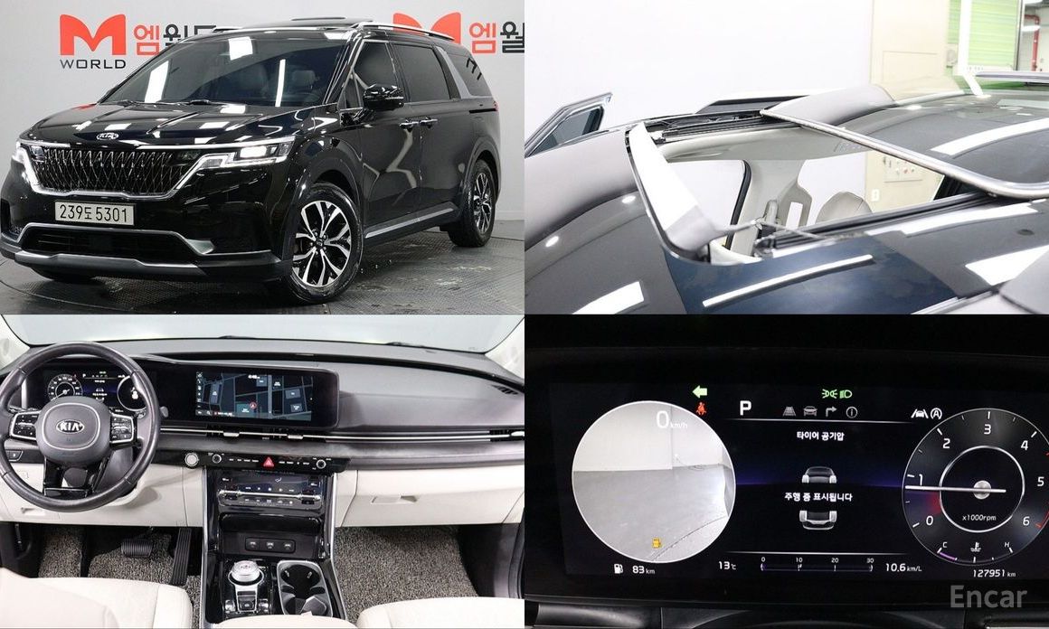  Kia Canival