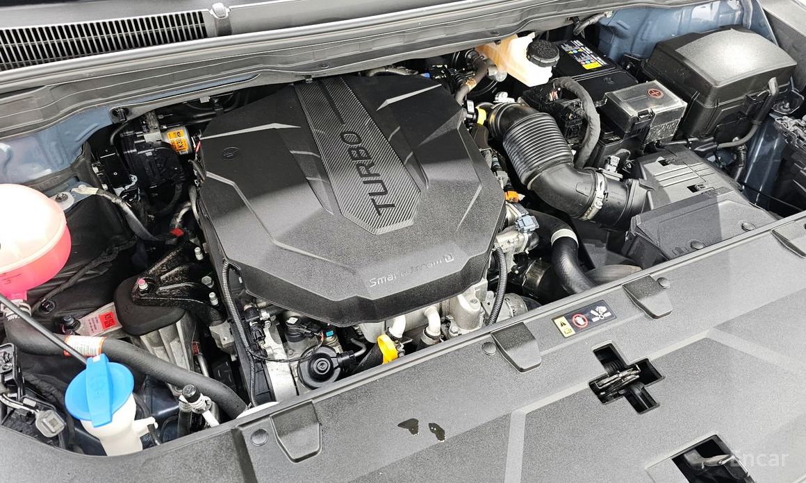  Kia Canival