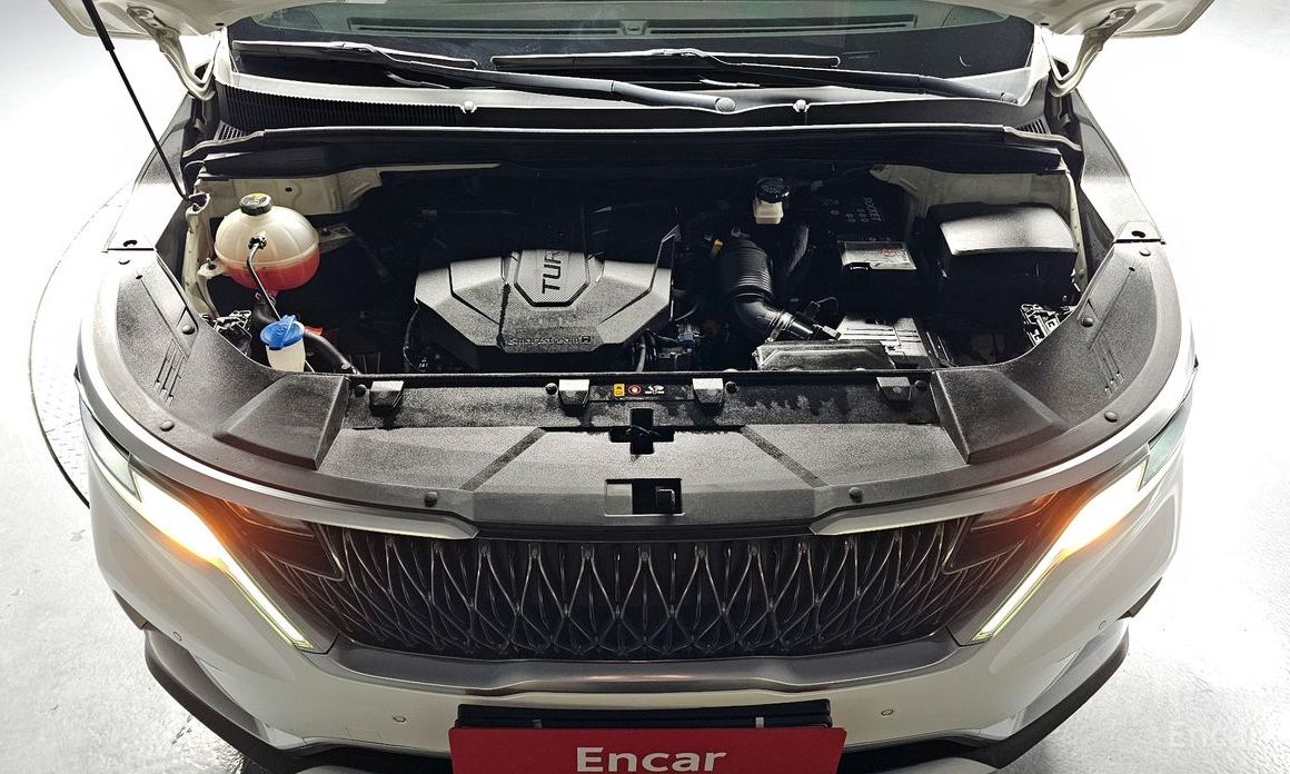  Kia Canival