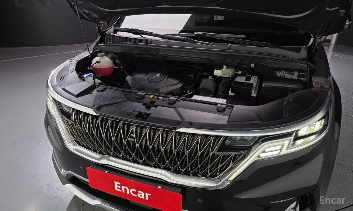  Kia Canival