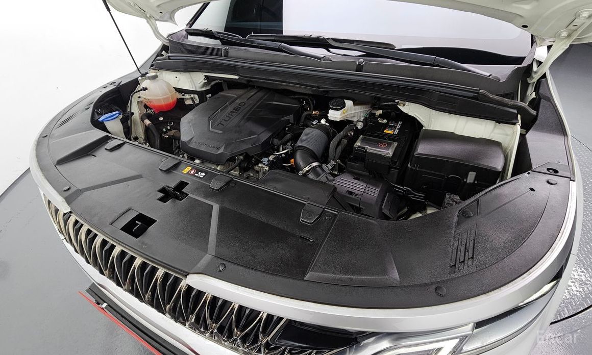  Kia Canival