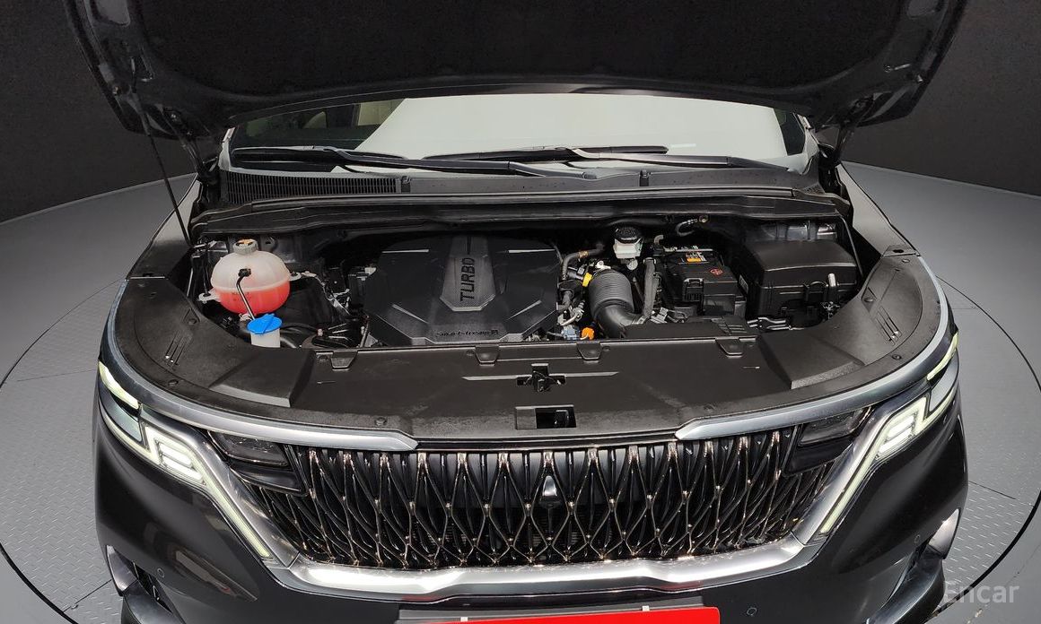  Kia Canival