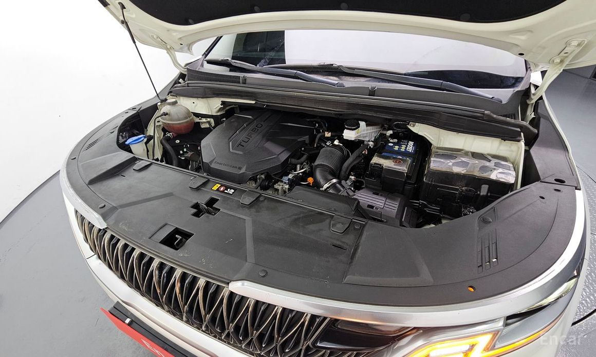  Kia Canival