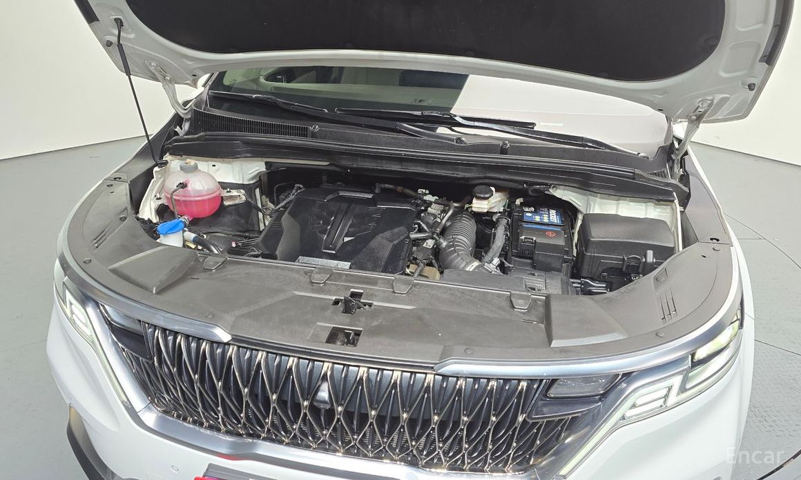  Kia Canival