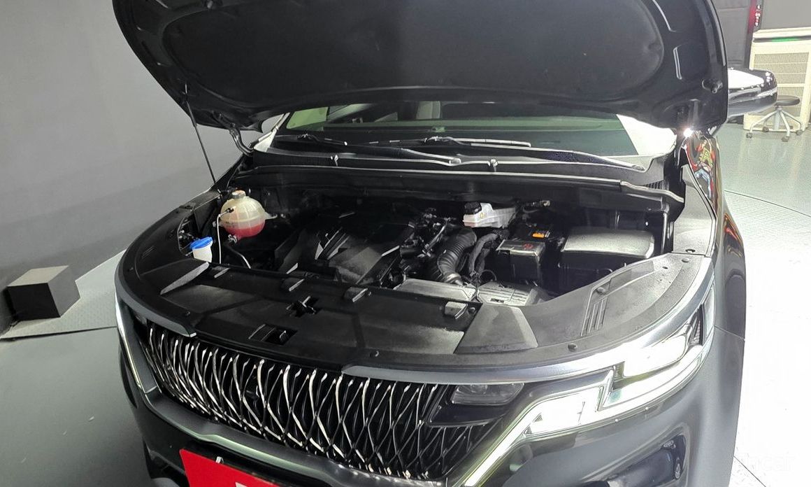  Kia Canival