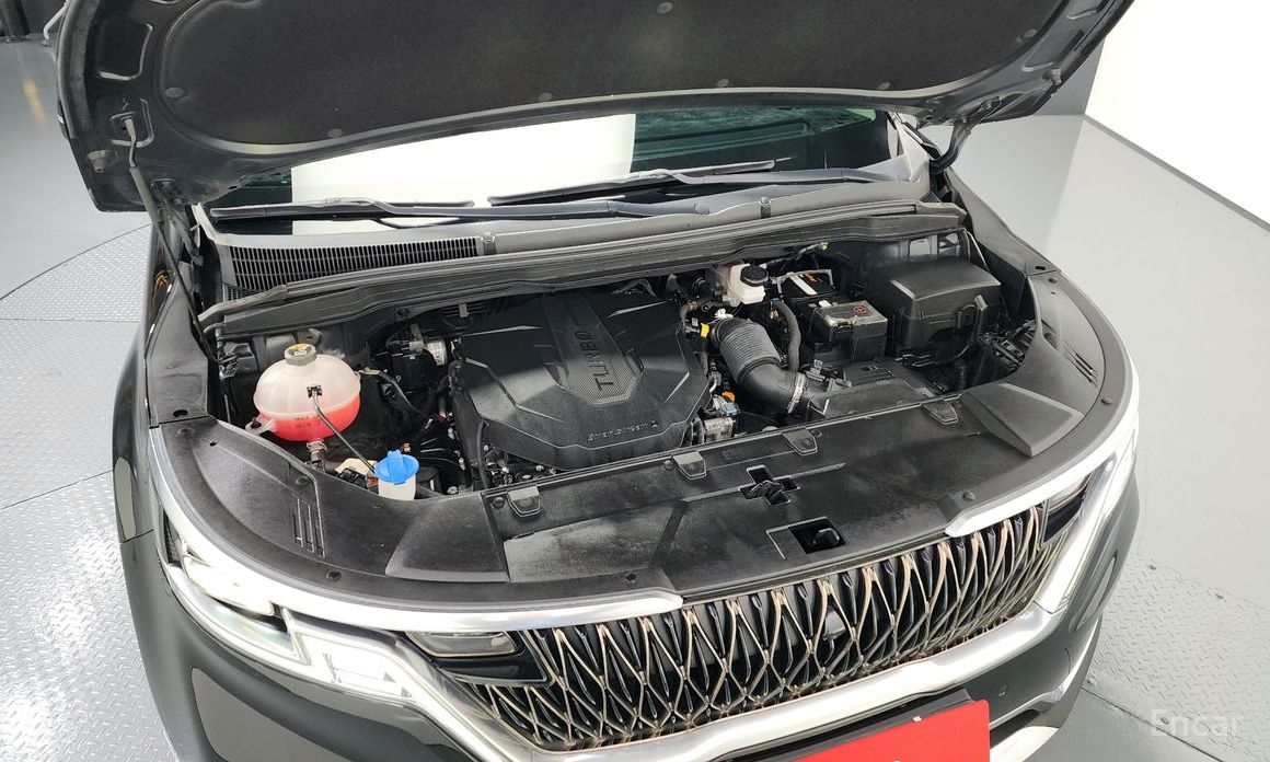  Kia Canival