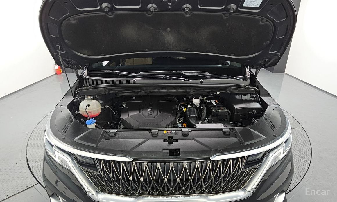  Kia Canival