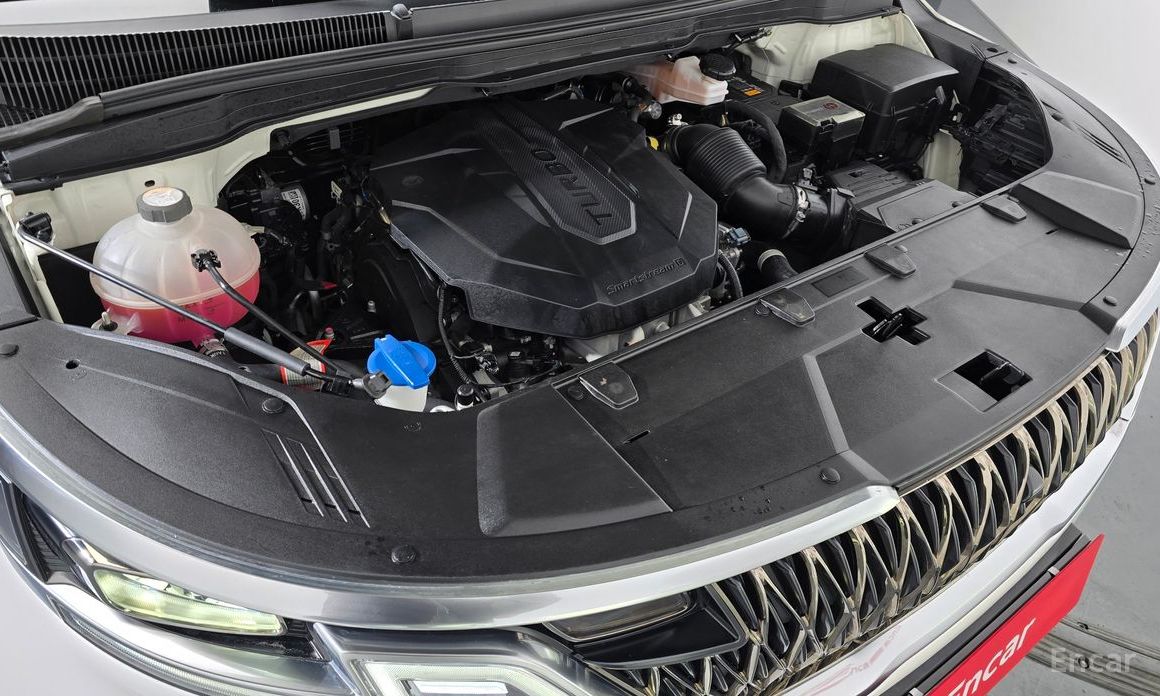  Kia Canival