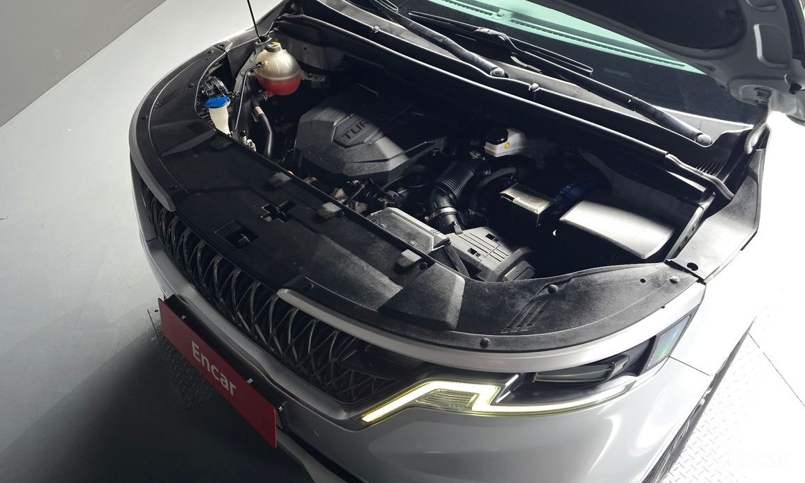  Kia Canival