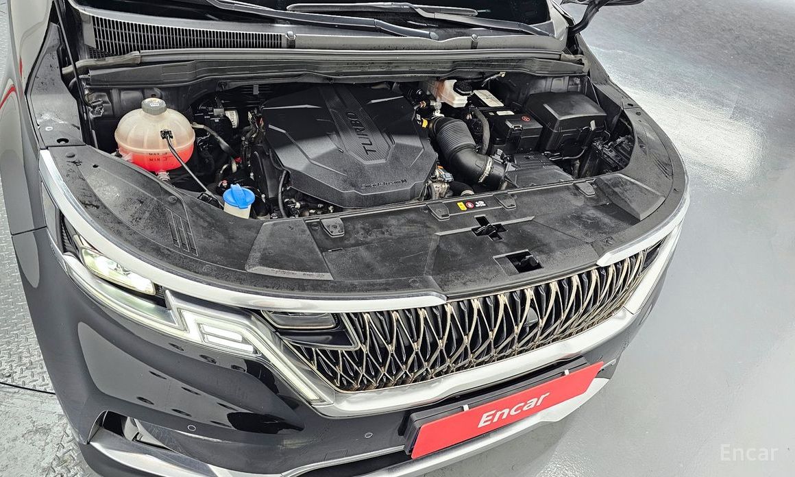  Kia Canival