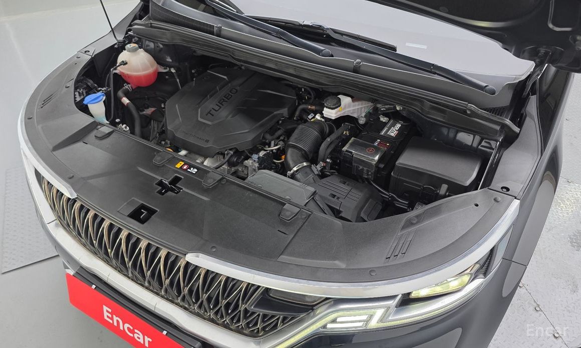  Kia Canival
