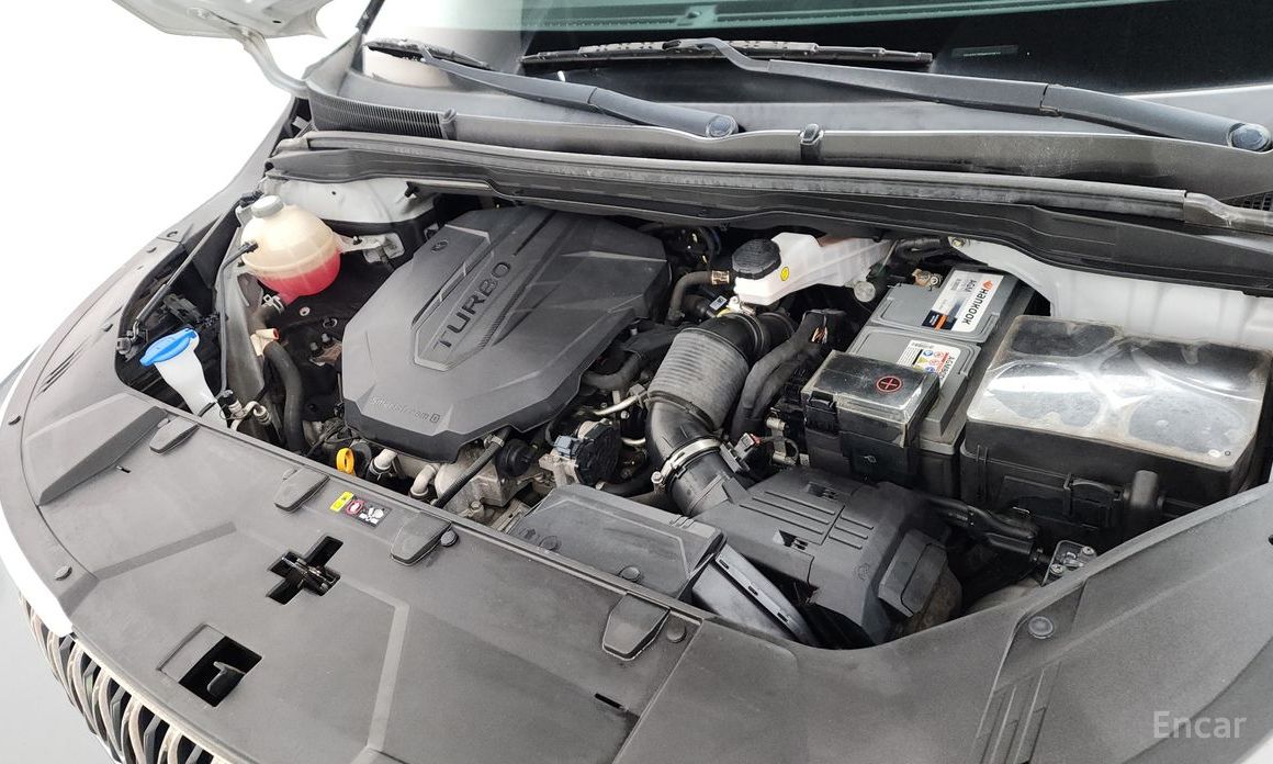  Kia Canival