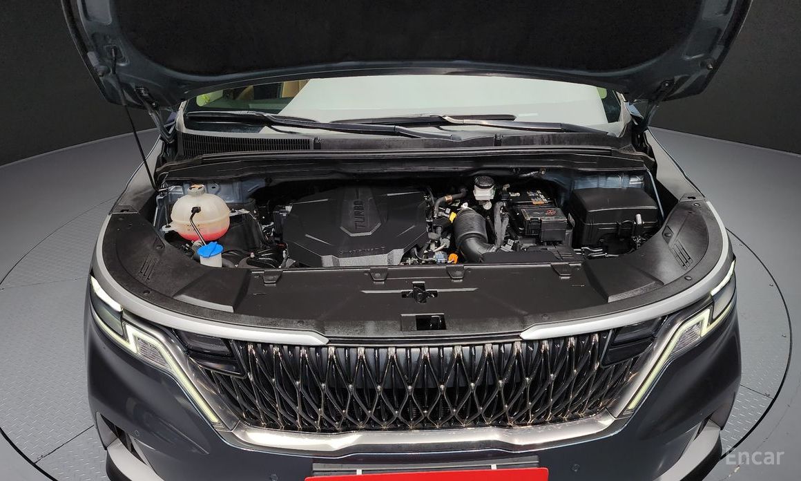  Kia Canival