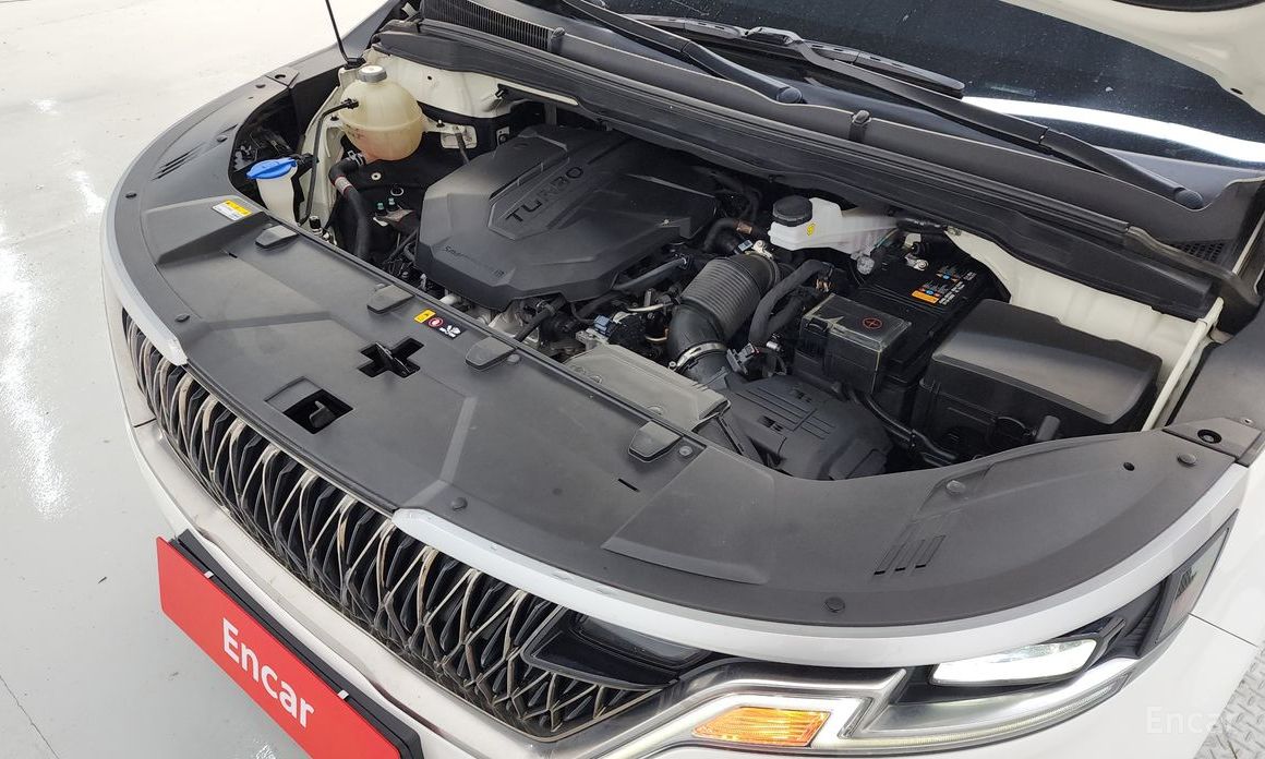  Kia Canival