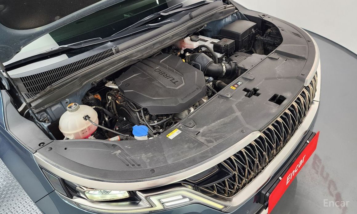  Kia Canival