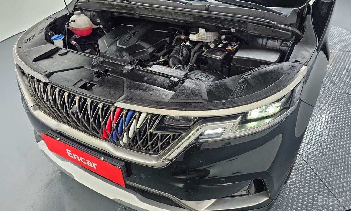  Kia Canival