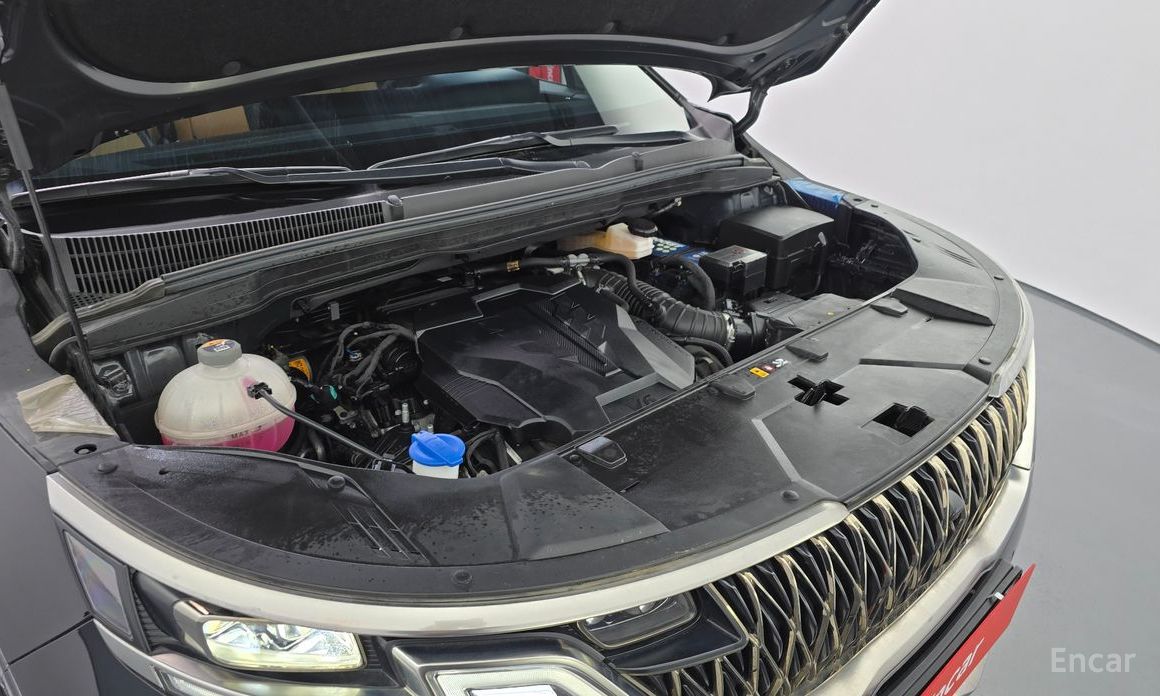  Kia Canival