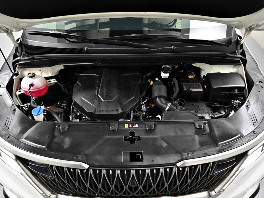  Kia Canival
