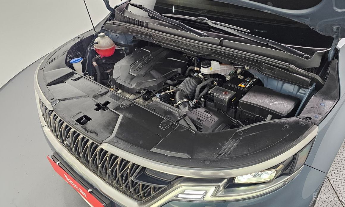  Kia Canival