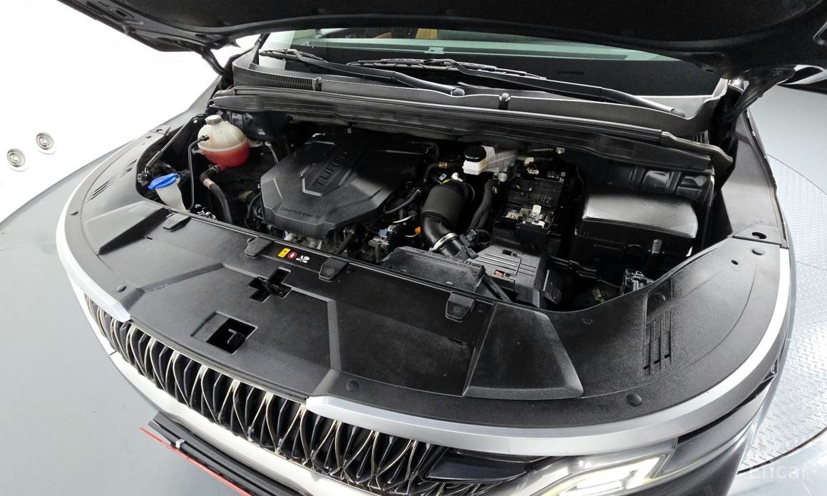  Kia Canival