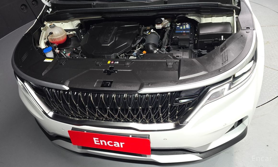  Kia Canival