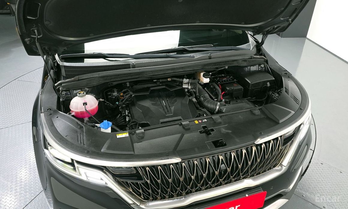  Kia Canival