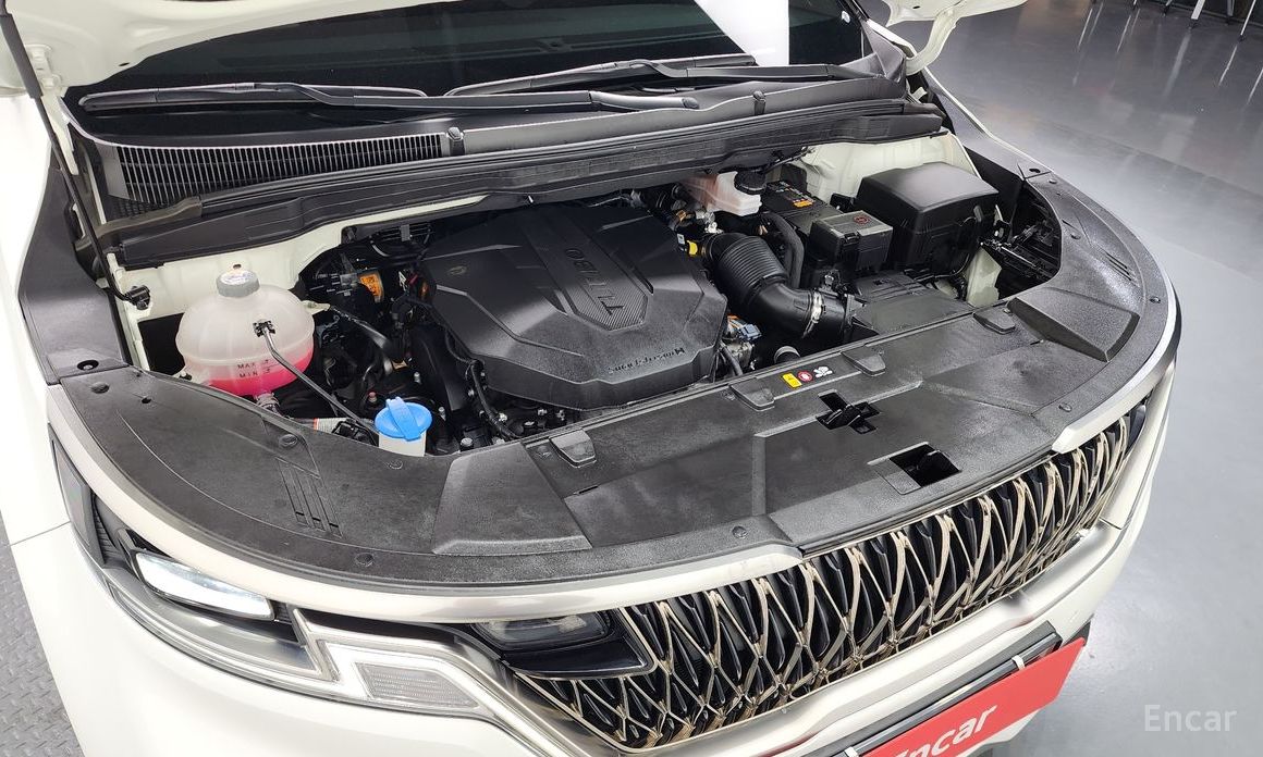  Kia Canival