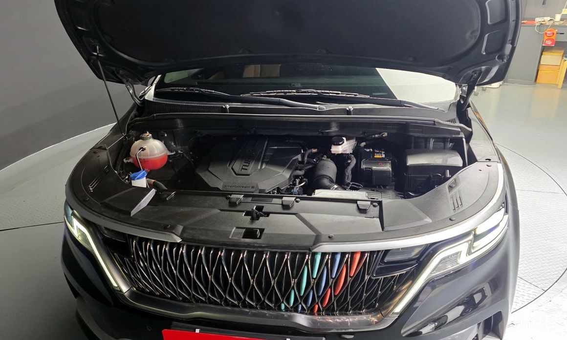  Kia Canival