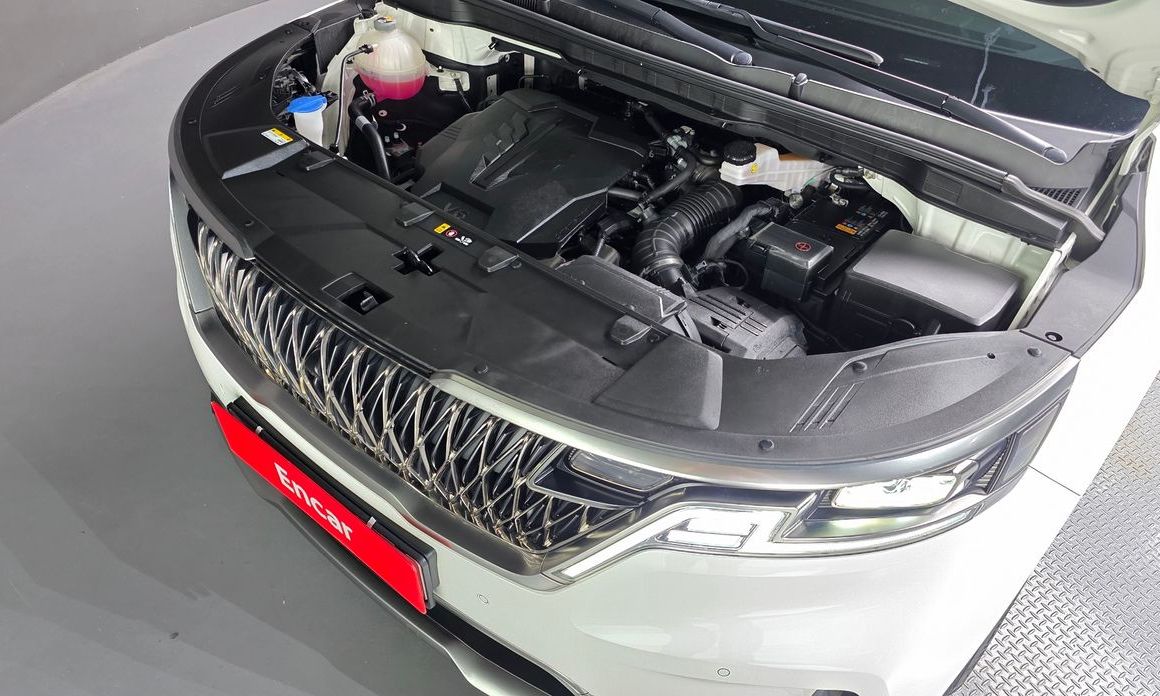  Kia Canival