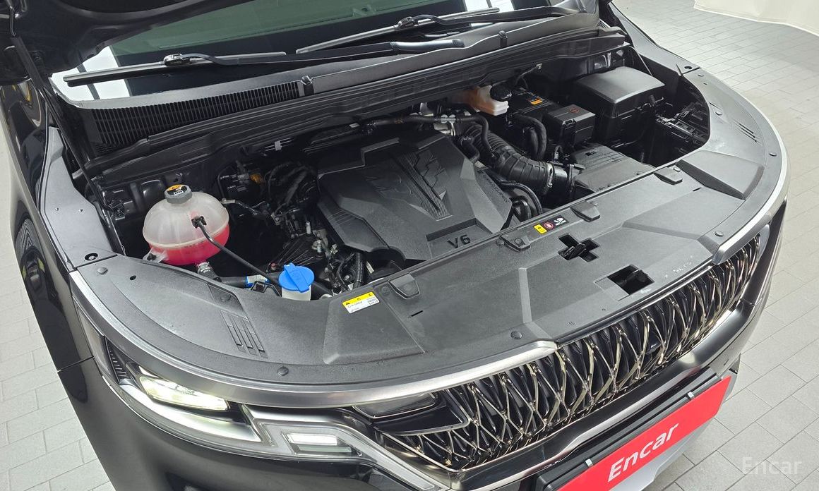  Kia Canival