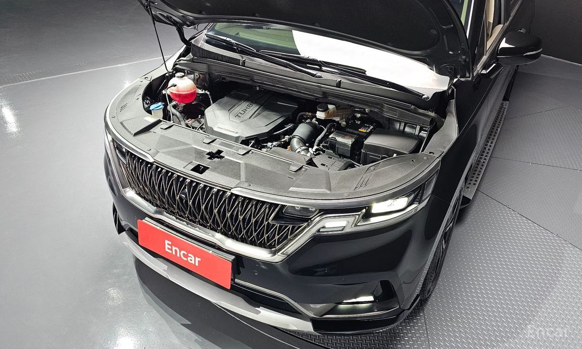  Kia Canival