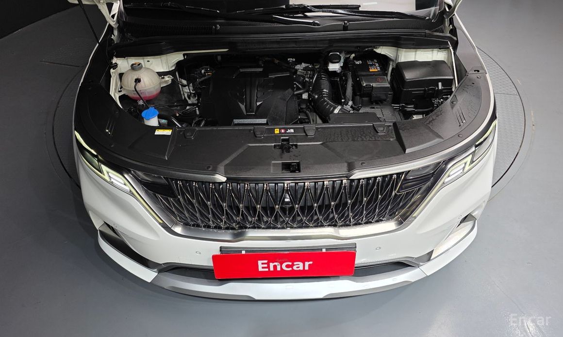  Kia Canival